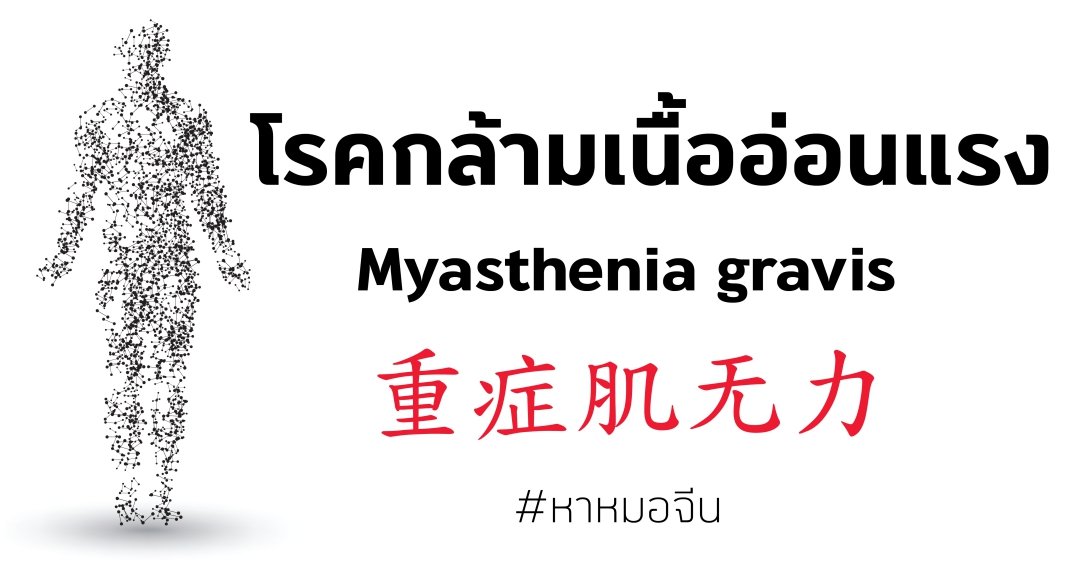 โรคกล้ามเนื้ออ่อนแรง MG 