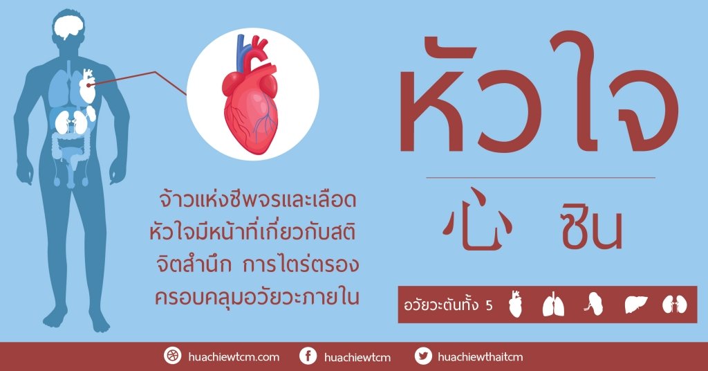 หัวใจเป็นจ้าวแห่งอวัยวะภายใน ชีพจรและเลือด