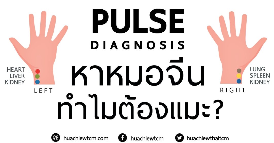 หมอแมะ หาหมอจีนทำไมต้องแมะ ? Pulse Diagnosis