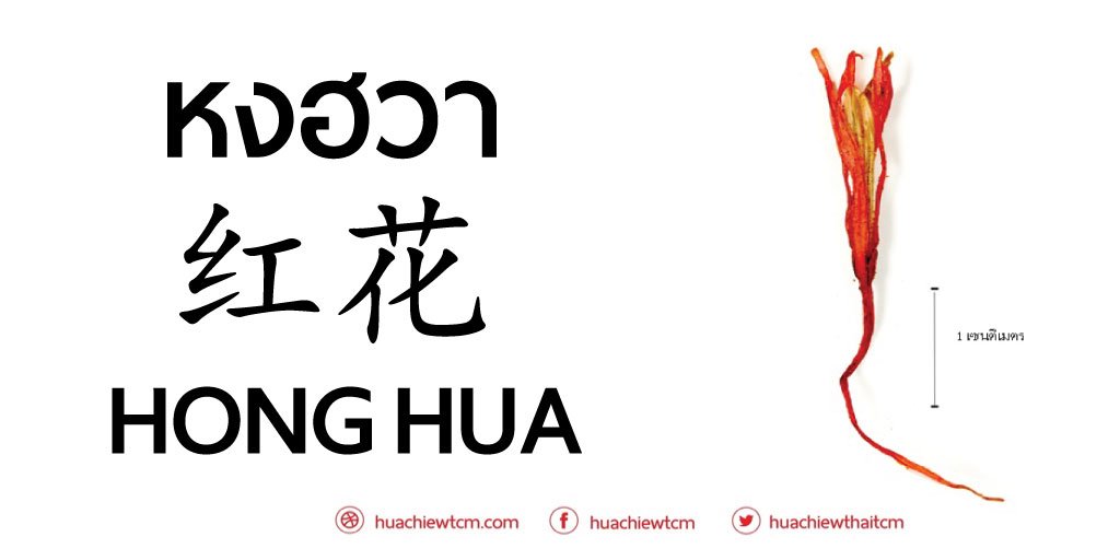 หงฮวา (红花) - ข้อมูลสมุนไพรจีน