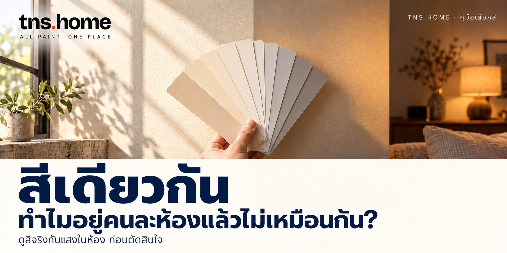 สีเดียวกันทำไมอยู่คนละห้องแล้วไม่เหมือนกัน ดูสีจริงกับแสงในห้อง TNS HOME
