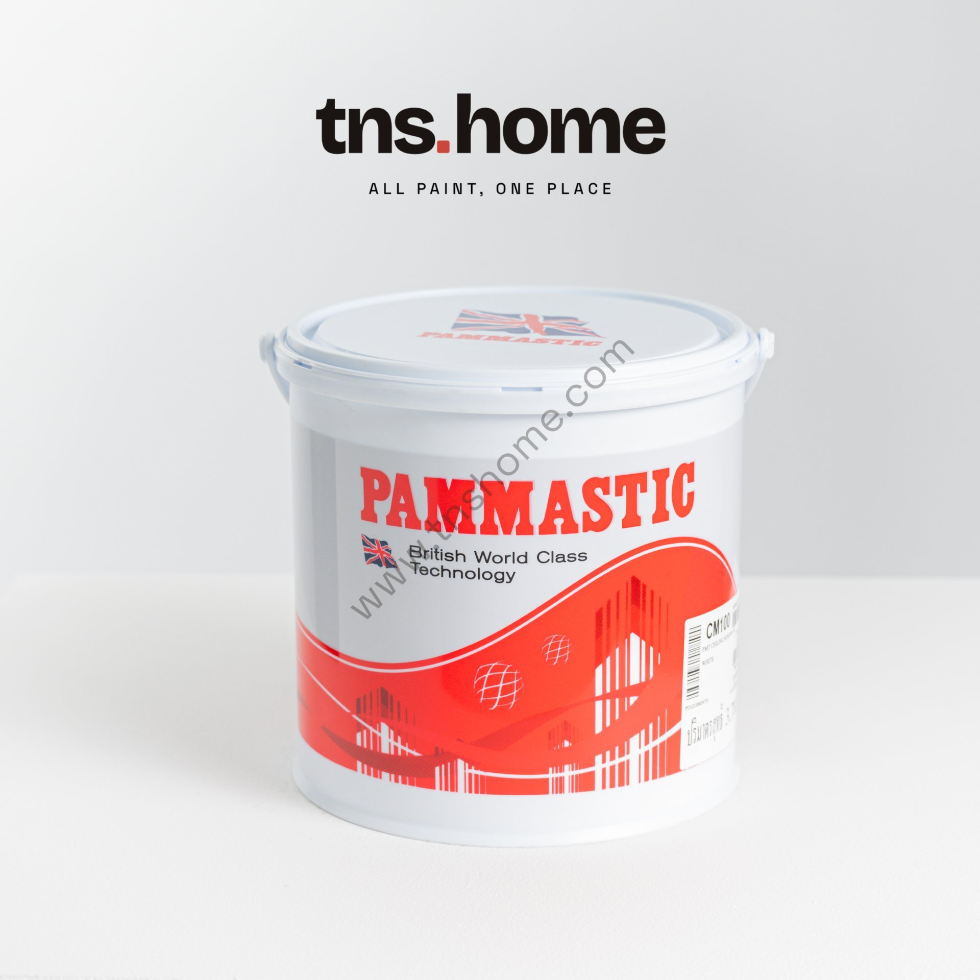 บรรจุภัณฑ์ สีทาฝ้าเพดาน Pammastic CM100 ปามมาสติก ซีเอ็ม 100 สีน้ำอะคริลิก ชนิดด้านพิเศษ ที่มีรายการบน TNS.HOME