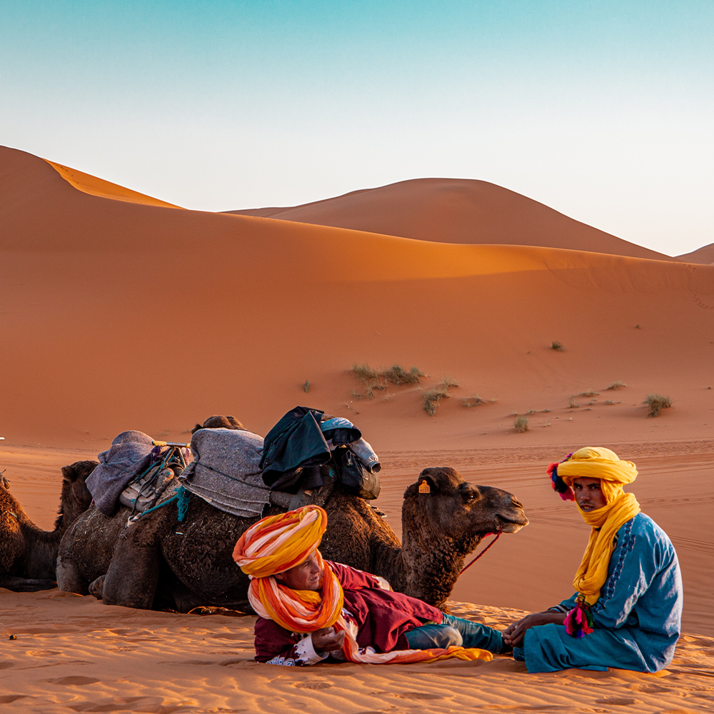 Journey Through the Sahara