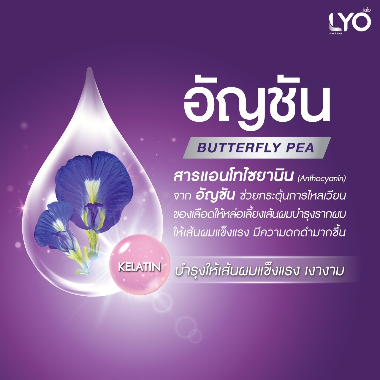 LYO BUTTERFLY PEA HERBAL HAIR TREATMENT 200ml Lyothailand lyo-butterfly-pea-herbal-hair-treatment-200ml-lyothailand