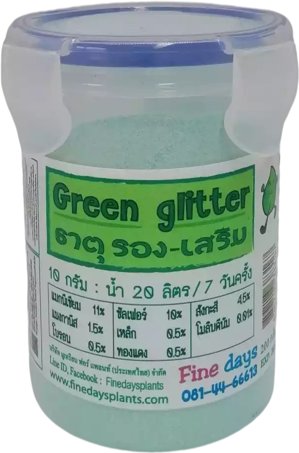 Green Glitter กรีน กลิตเตอร์ 200g.