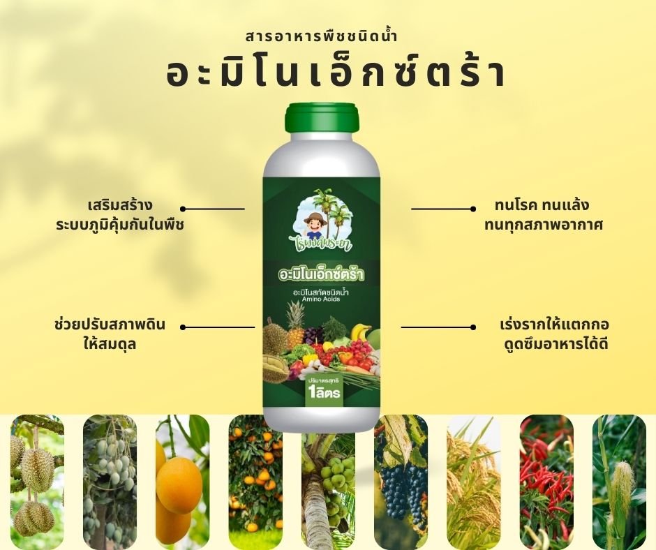 amino อะมิโนพืช amino อะมิโนพืช