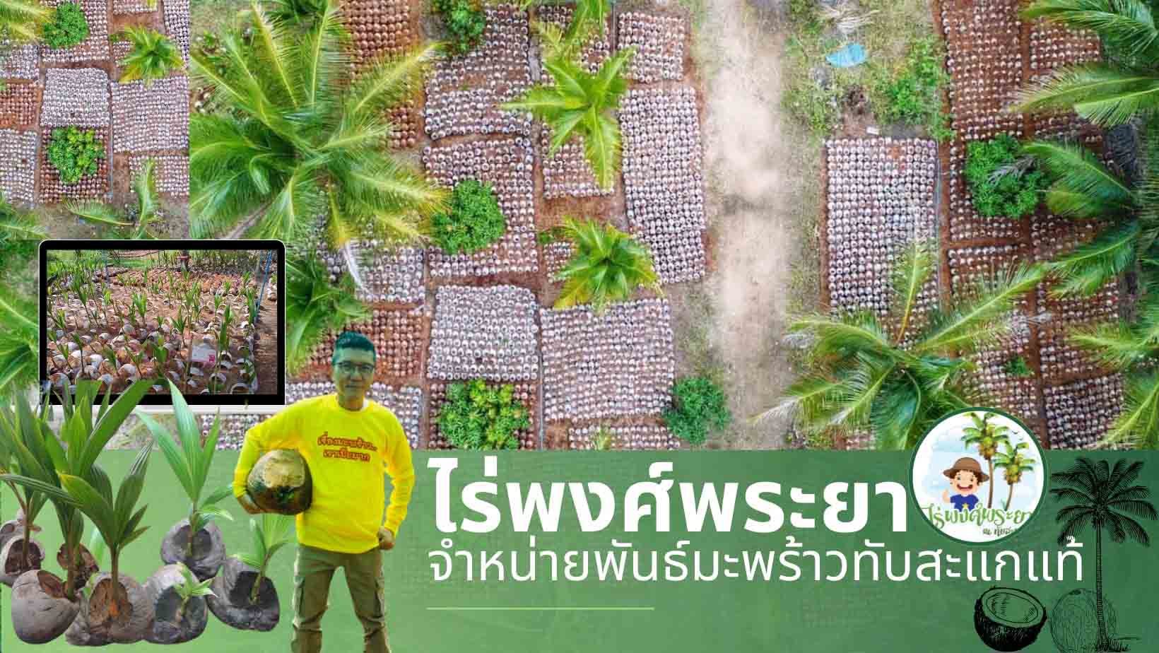 ไร่พงศ์พระยา