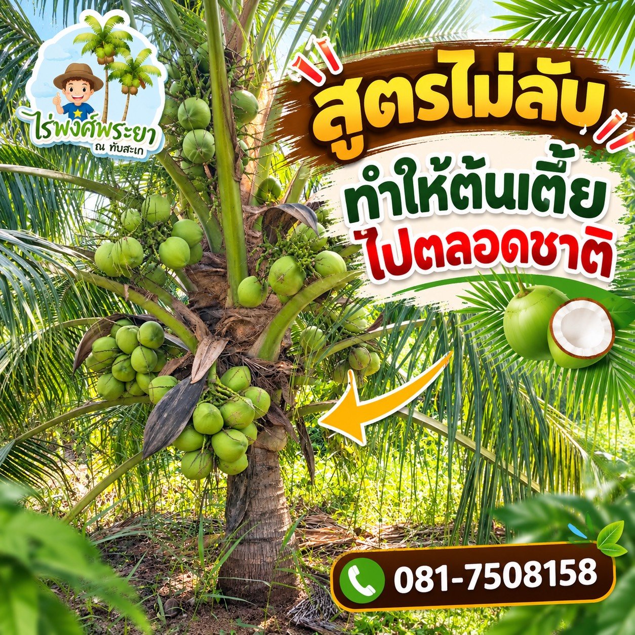 coconut-small1