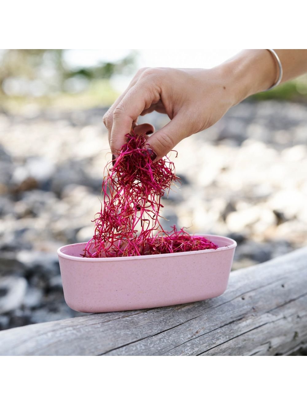 SnapBox oval BIO 2-pack - outdoorbotanica