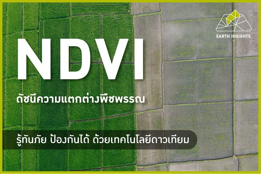 NDVI คืออะไร สามารถนำมาประยุกต์ใช้กับการเกษตรได้อย่างไร ? 