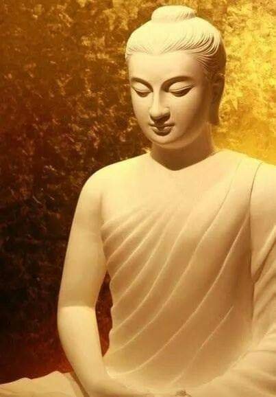พระพุทธเจ้าตรัสรู้ ไม่ใช่ความคิดเห็นของใครทั้งสิ้น
