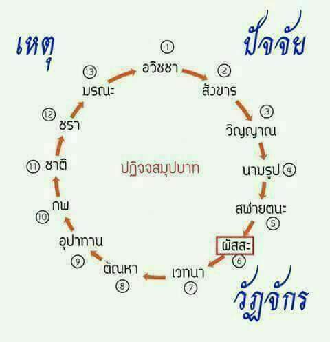 ความคิดเห็นของคนเราคืออะไร