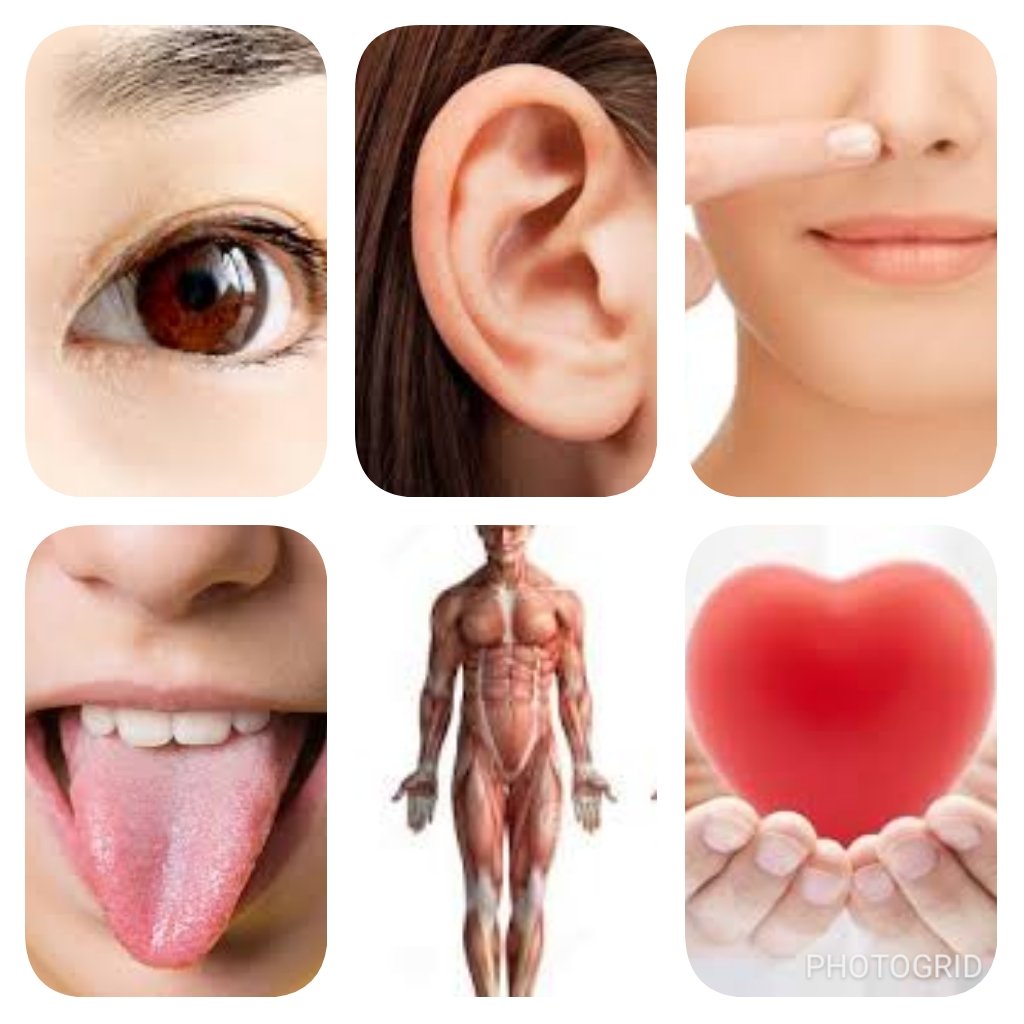 โซ่ตรวนของโลภะ โทสะ โมหะ มันร้อยรัดเราทุกคนถึง ๖ ทาง