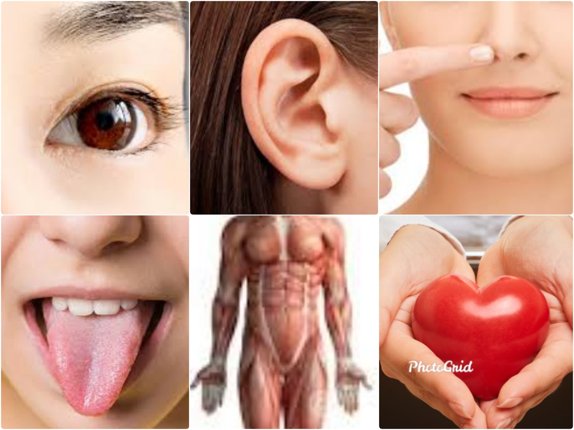 การวิปัสสนาภาวนา ดับทุกข์ได้อย่างไร?