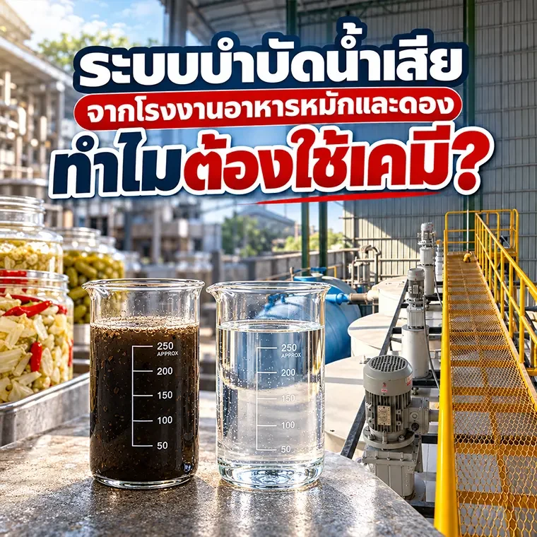 เปรียบเทียบน้ำเสียขุ่นจากโรงงานของหมักดองกับน้ำใสหลังผ่านระบบบำบัดน้ำเสียเคมี