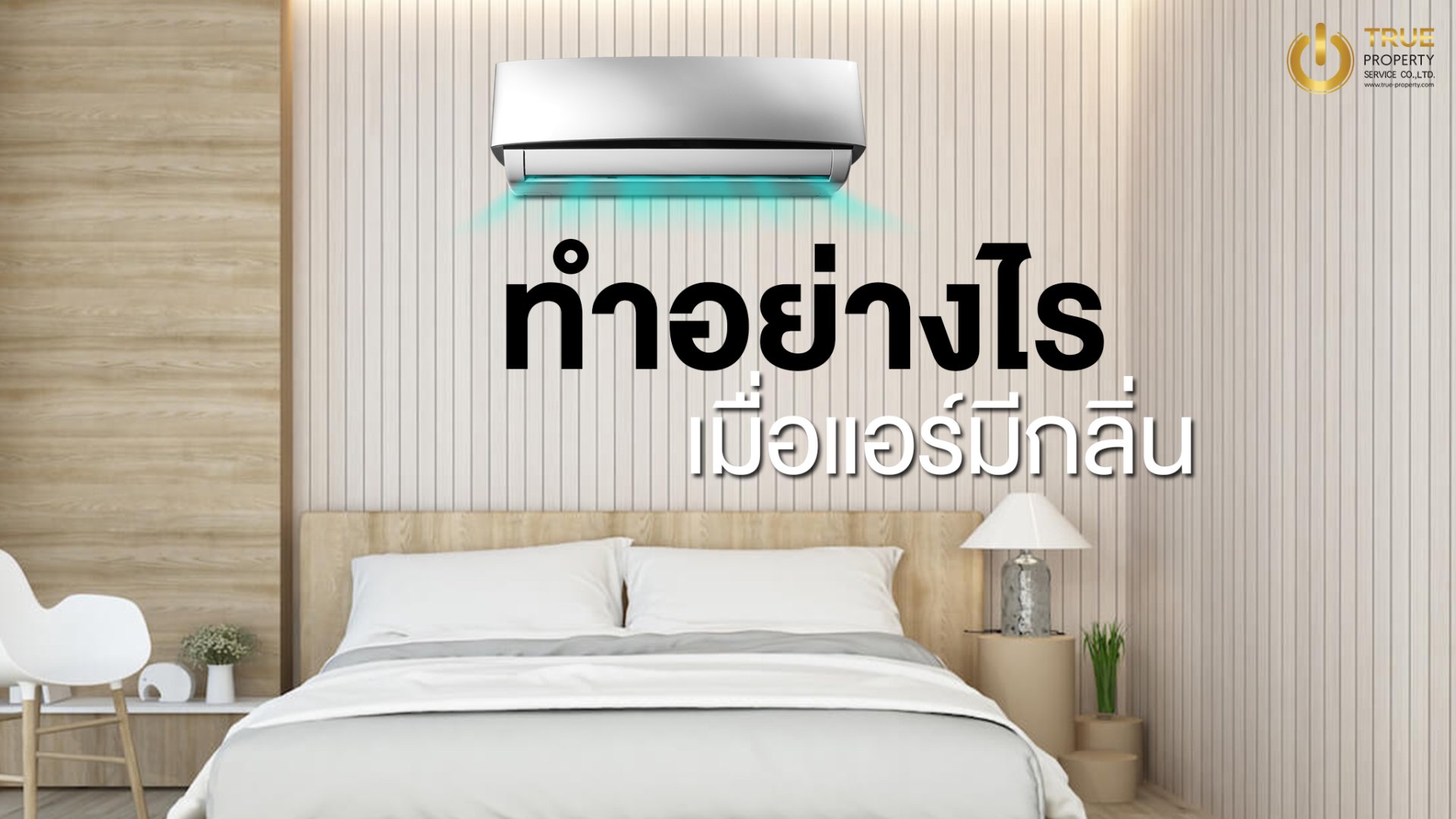 ทำอย่างไรเมื่อแอร์มีกลิ่นอับ สาเหตุเกิดจากอะไรแล้วจะแก้ไขได้ยังไง? ทำอย่างไรเมื่อแอร์มีกลิ่นอับ สาเหตุเกิดจากอะไรแล้วจะแก้ไขได้ยังไง?