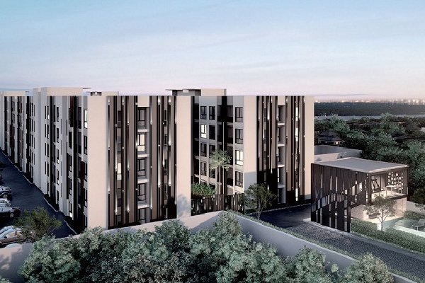 The Tree Privata เดอะ ทรี พริวาต้า  The Tree Privata เดอะ ทรี พริวาต้า