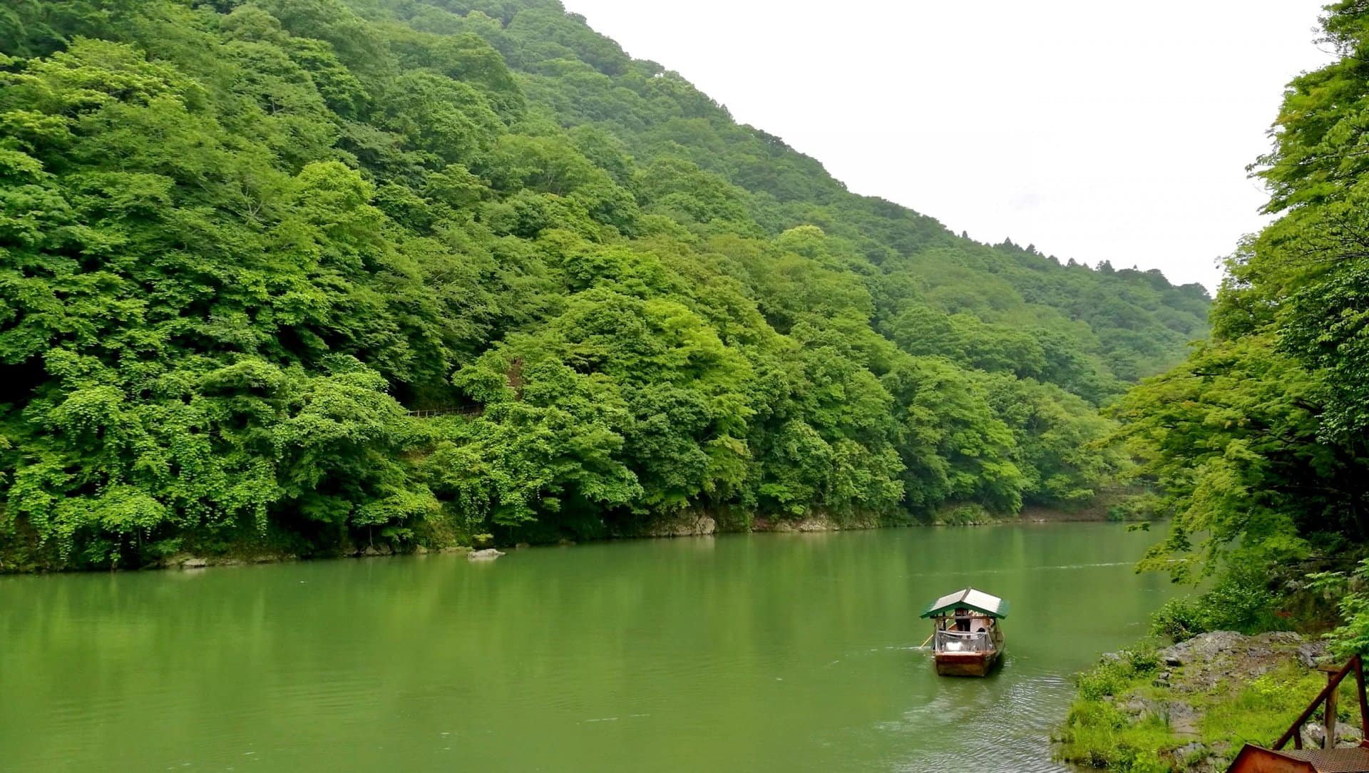 kyoto nature kyoto nature