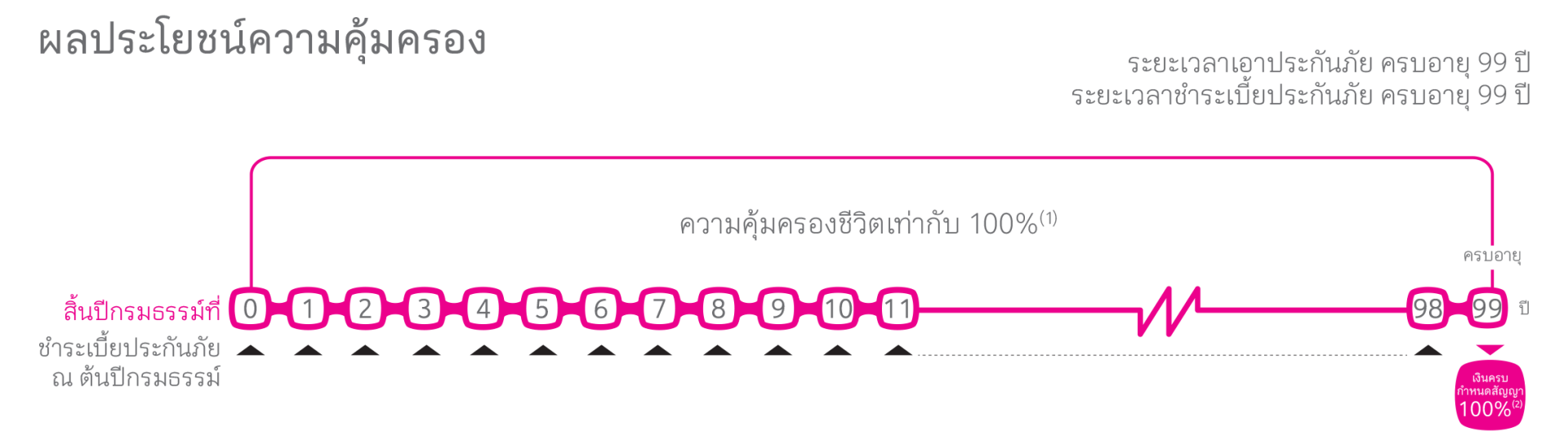 ผลประโยชน์ความคุ้มครอง เมืองไทย สมาร์ท โพรเทคชั่น 99/99