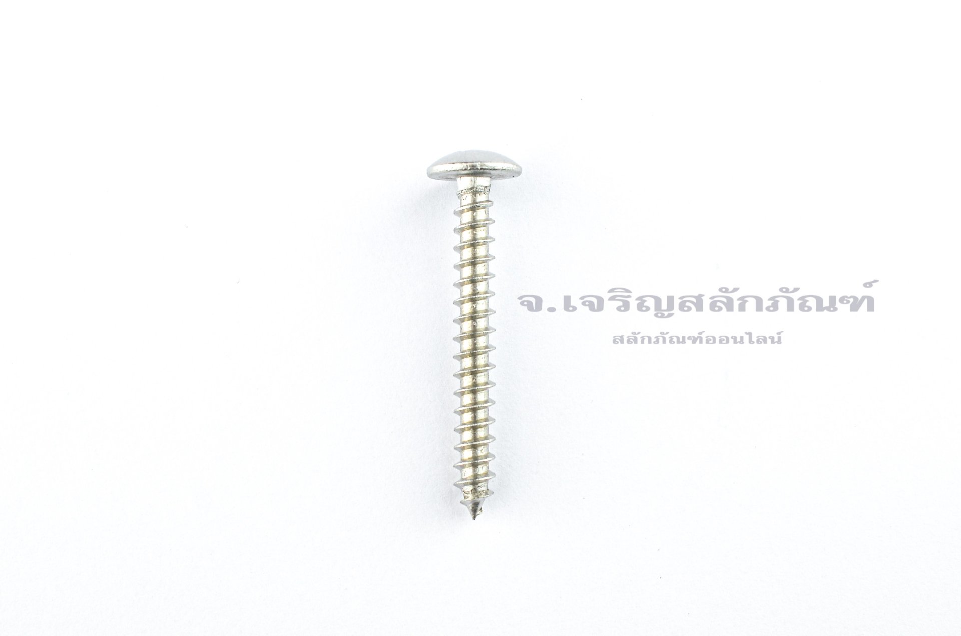 สกรูเกลียวปล่อยสแตนเลสหัวร่มแฉก 5x40