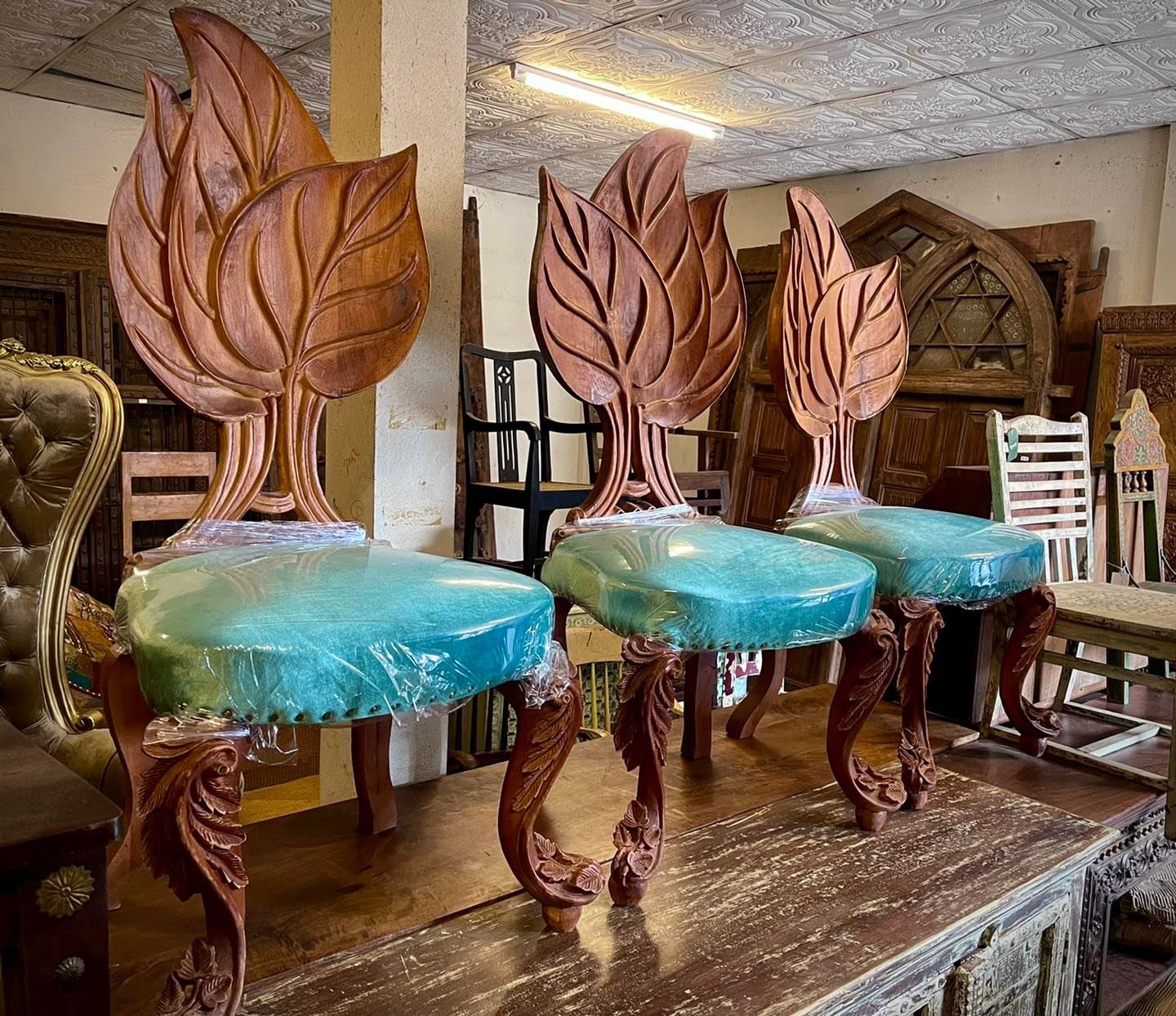 SC2 Leaf Wooden Chairs Set of 6