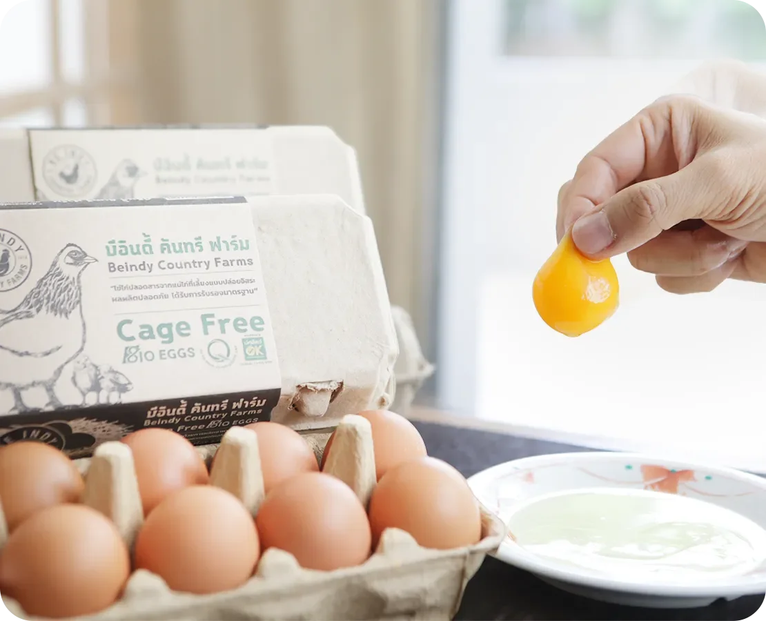 บีอินดี้ คันทรี ฟาร์ม บีอินดี้ คันทรี ฟาร์ม