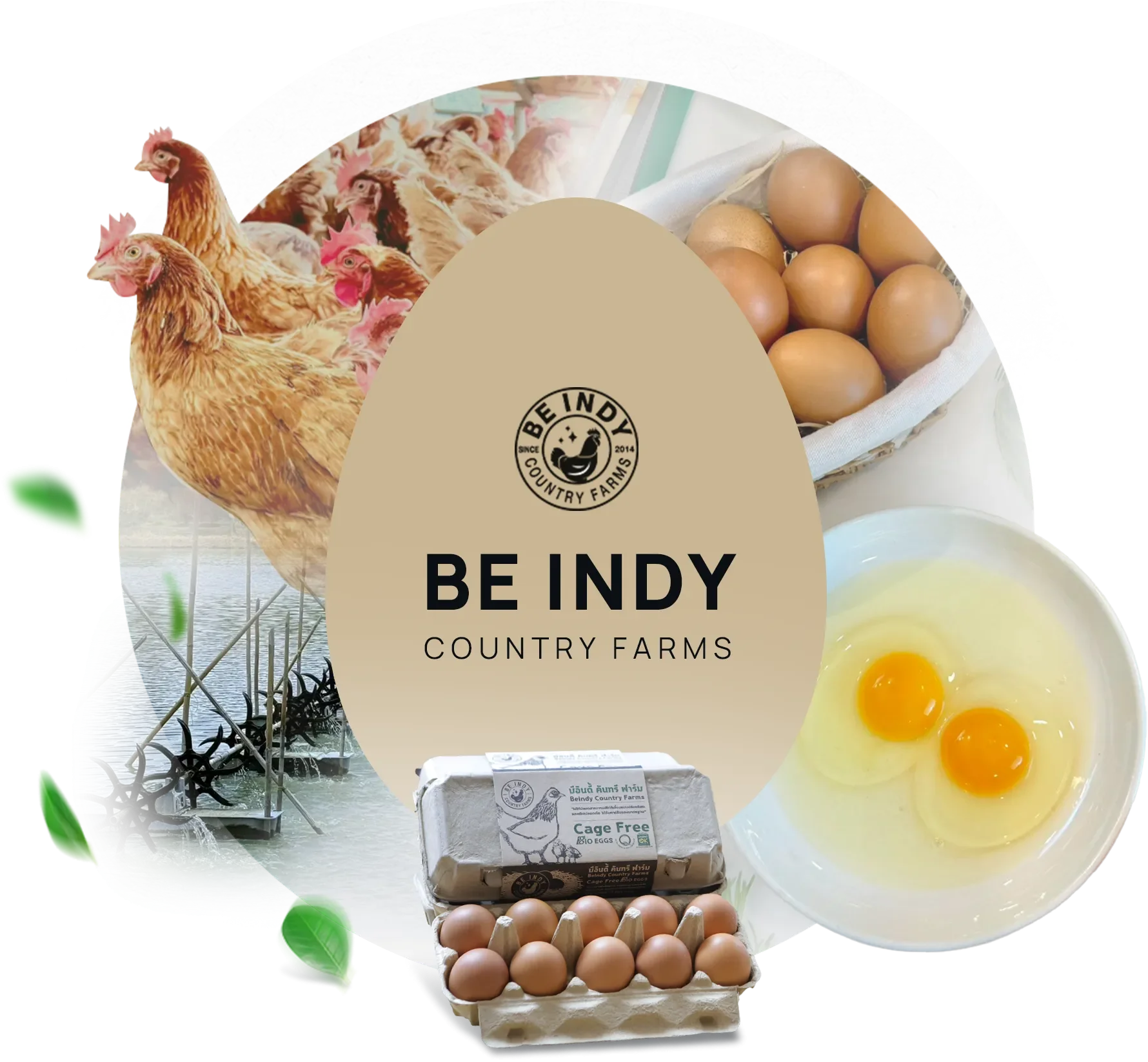 วิถีแบบบีอินดี้ วิถีแบบบีอินดี้