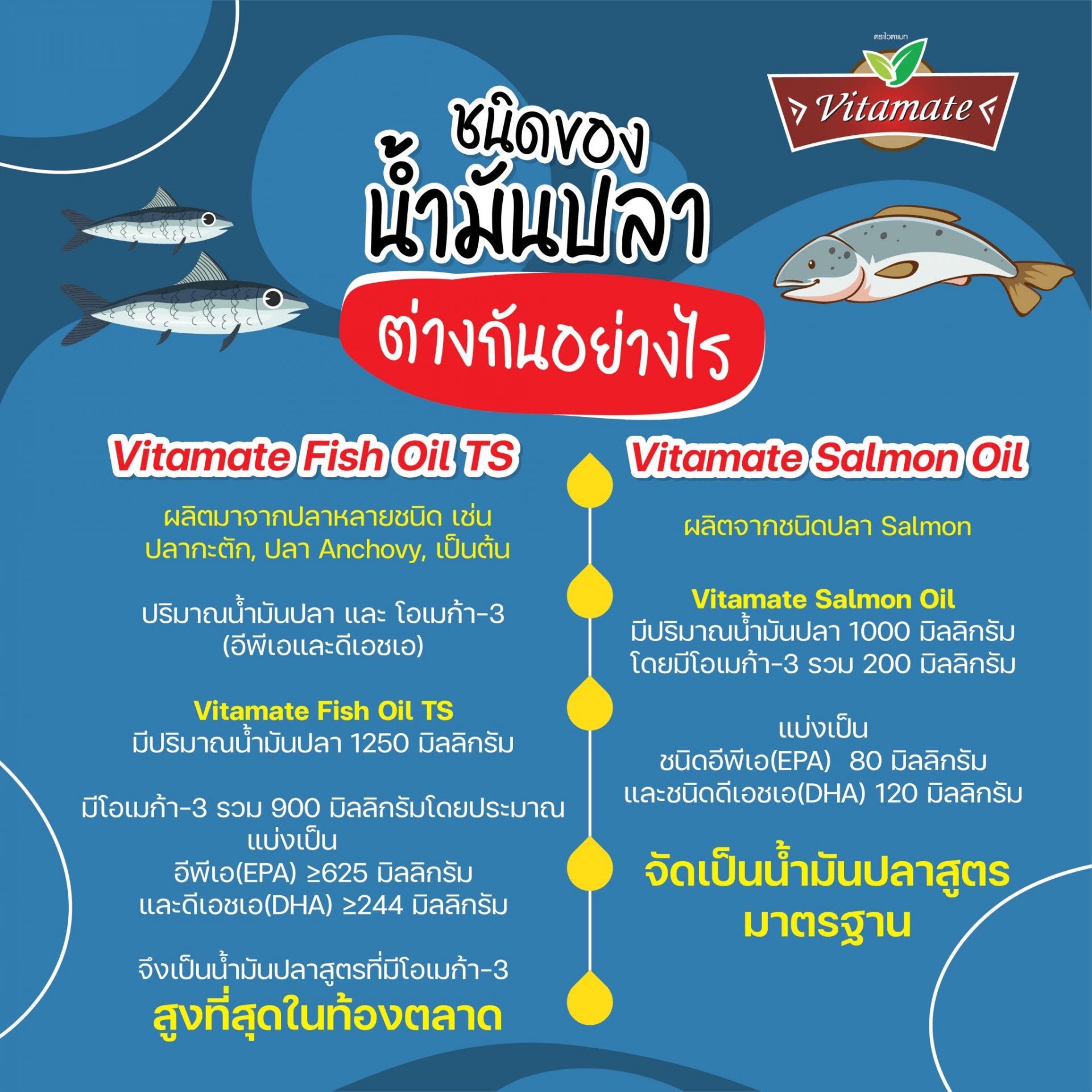 Fish oil TS กับ Salmon oil แตกต่างหรือเหมือนกันยังไง