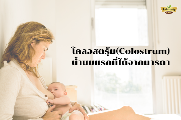 มารู้จักกับโคลอสตรุ้ม (Colostrum)