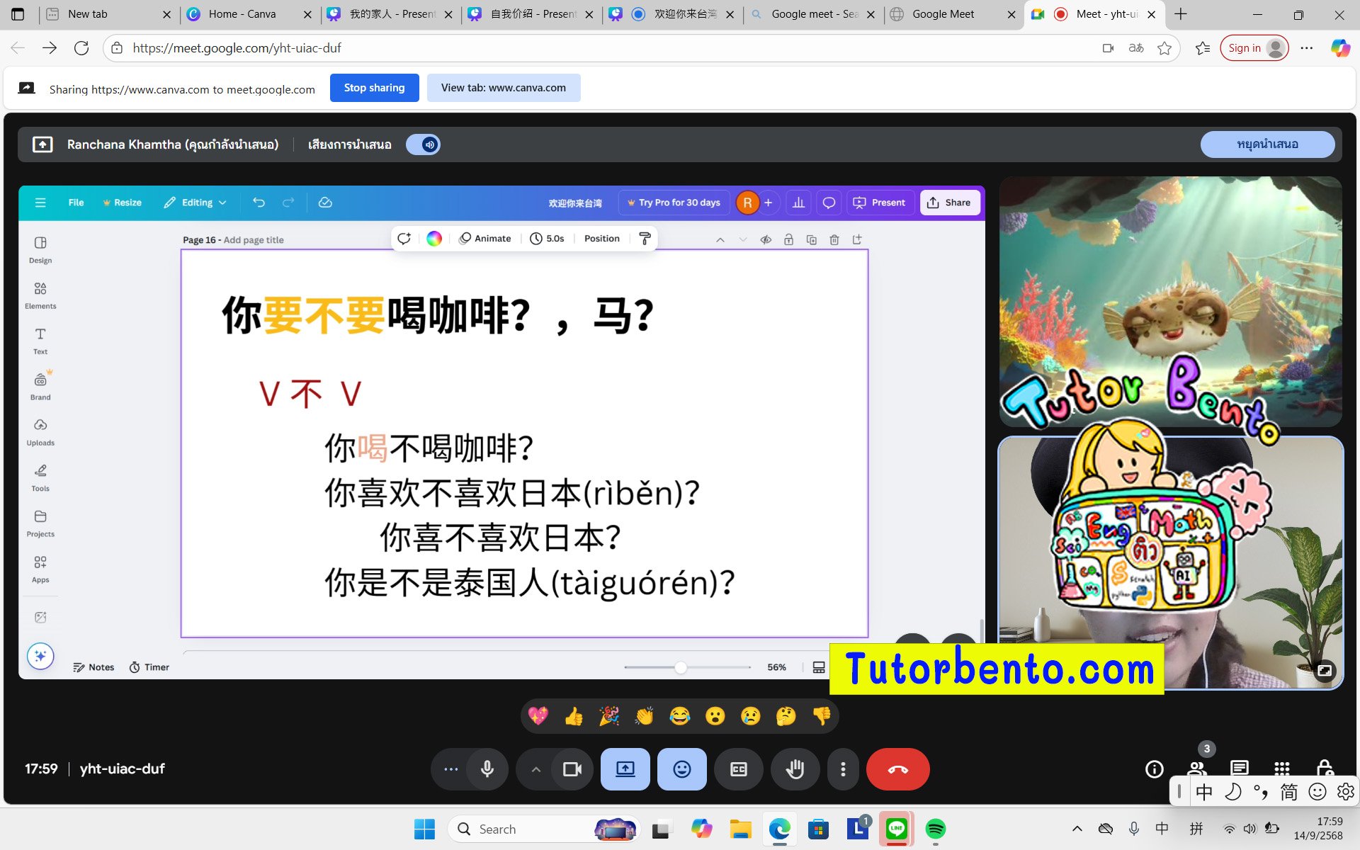 tutorbento.com รีวิว