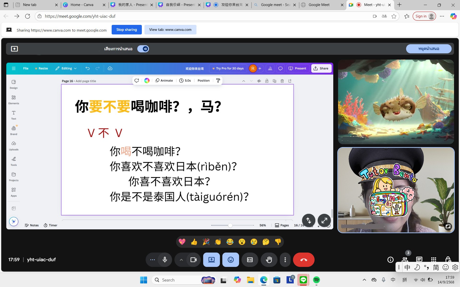tutorbento.com รีวิว