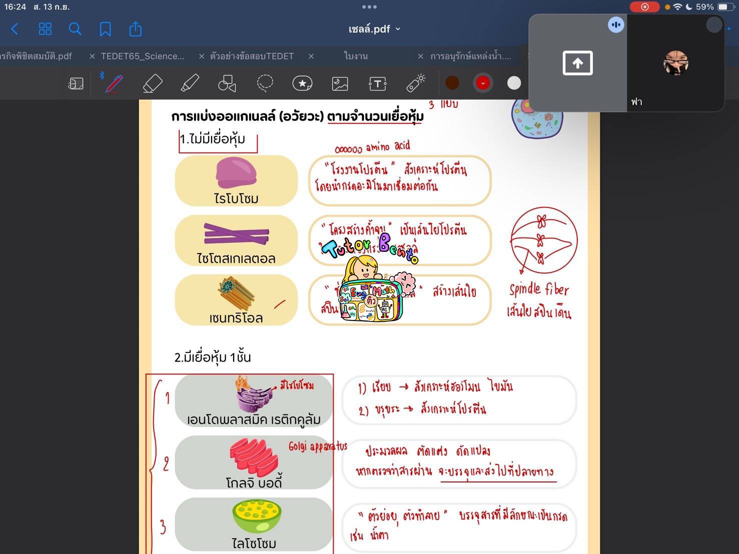tutorbento.com รีวิว