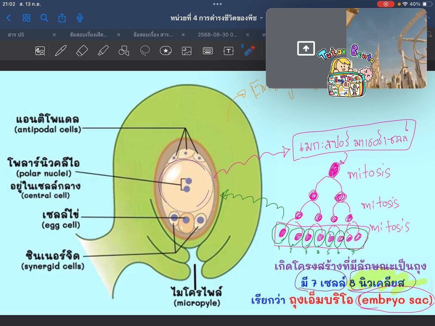 tutorbento.com รีวิว