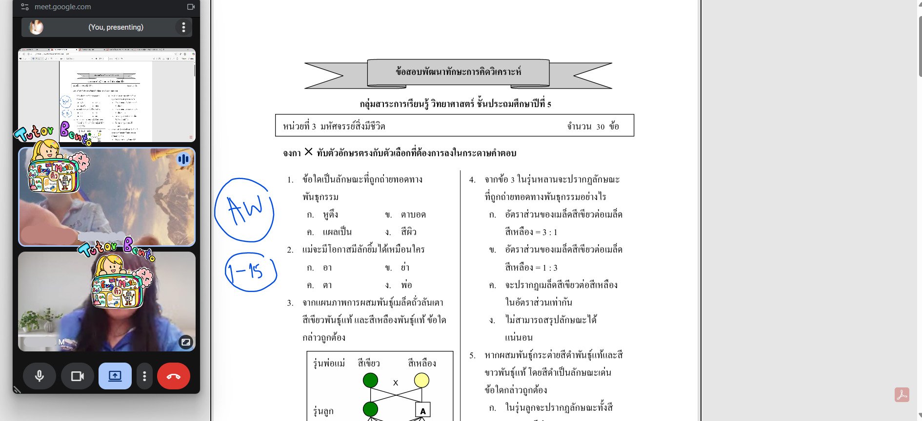 tutorbento.com รีวิว