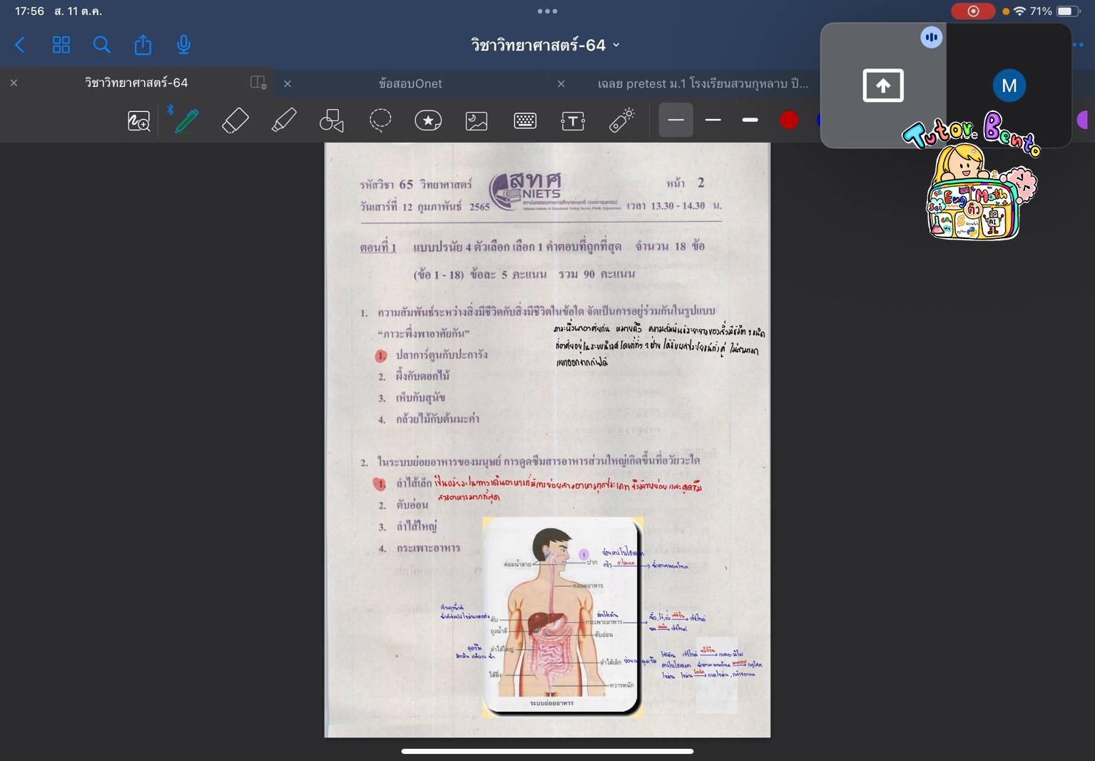 tutorbento.com รีวิว