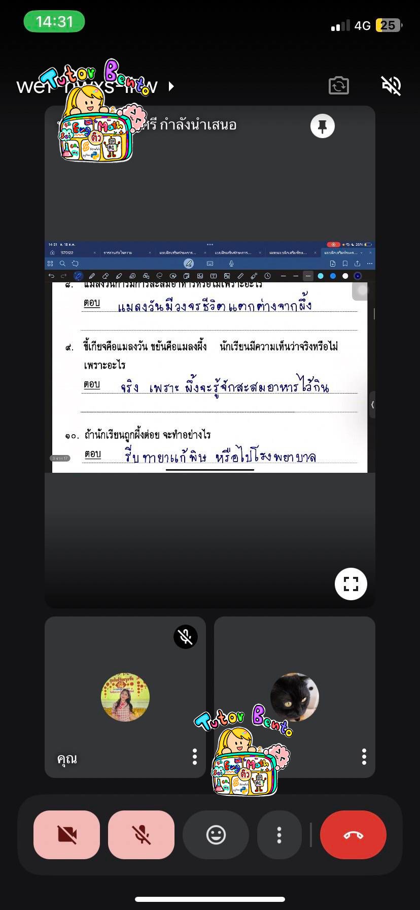 tutorbento.com รีวิว