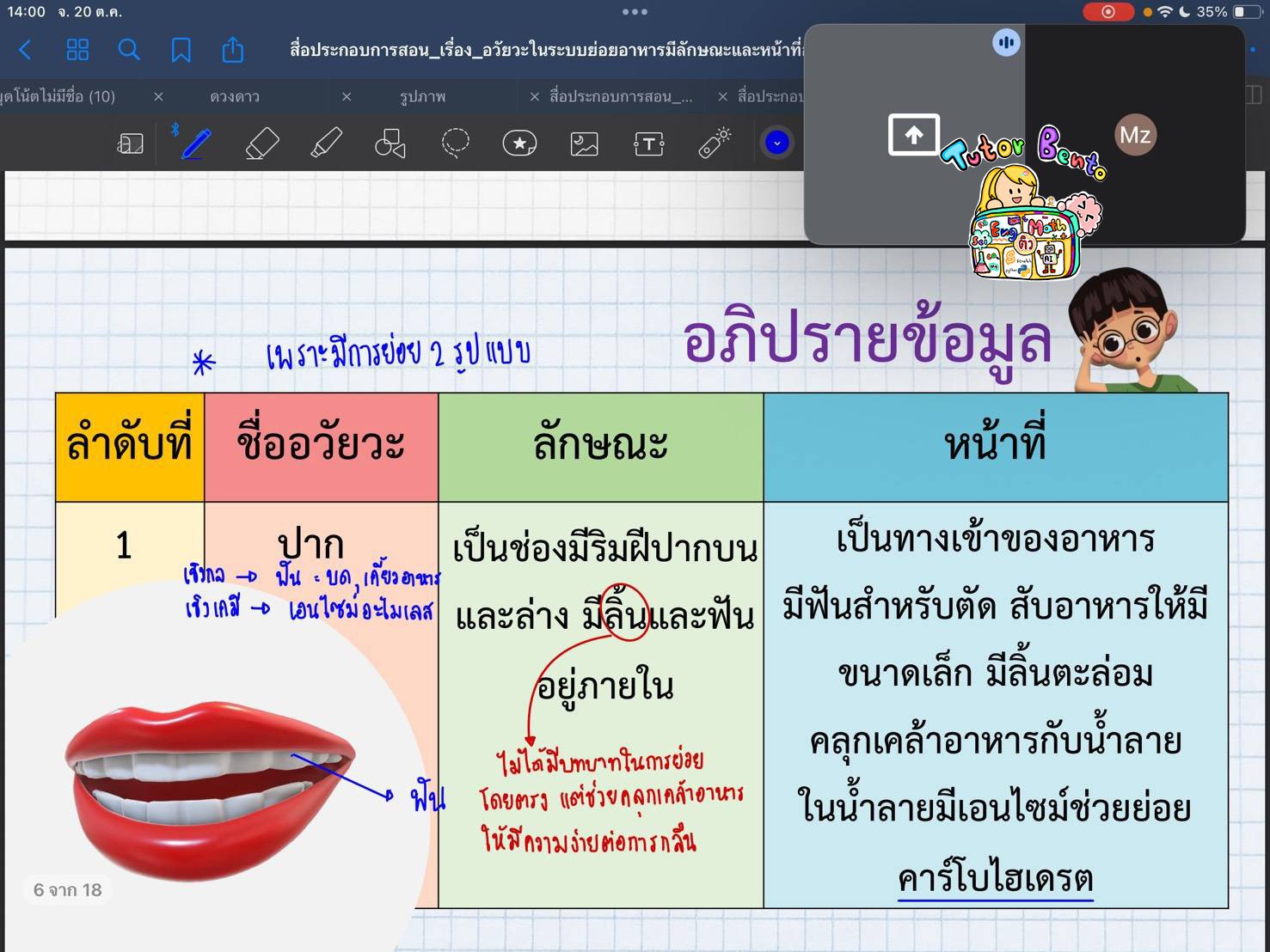 tutorbento.com รีวิว tutorbento.com รีวิว