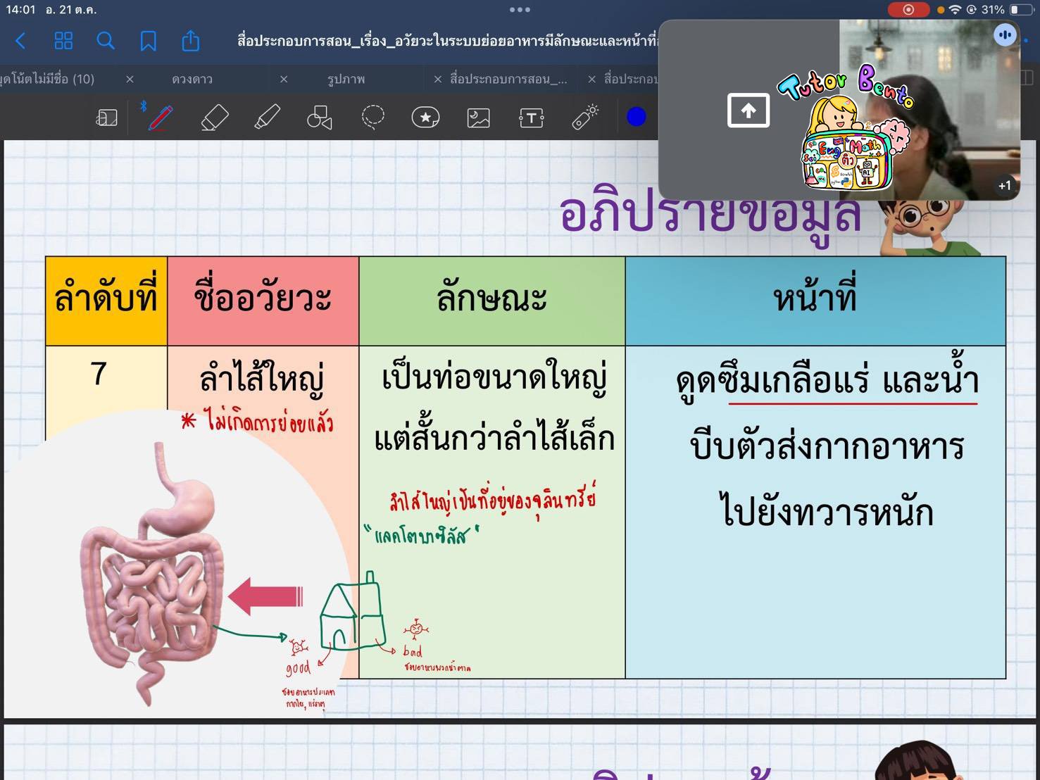 tutorbento.com รีวิว