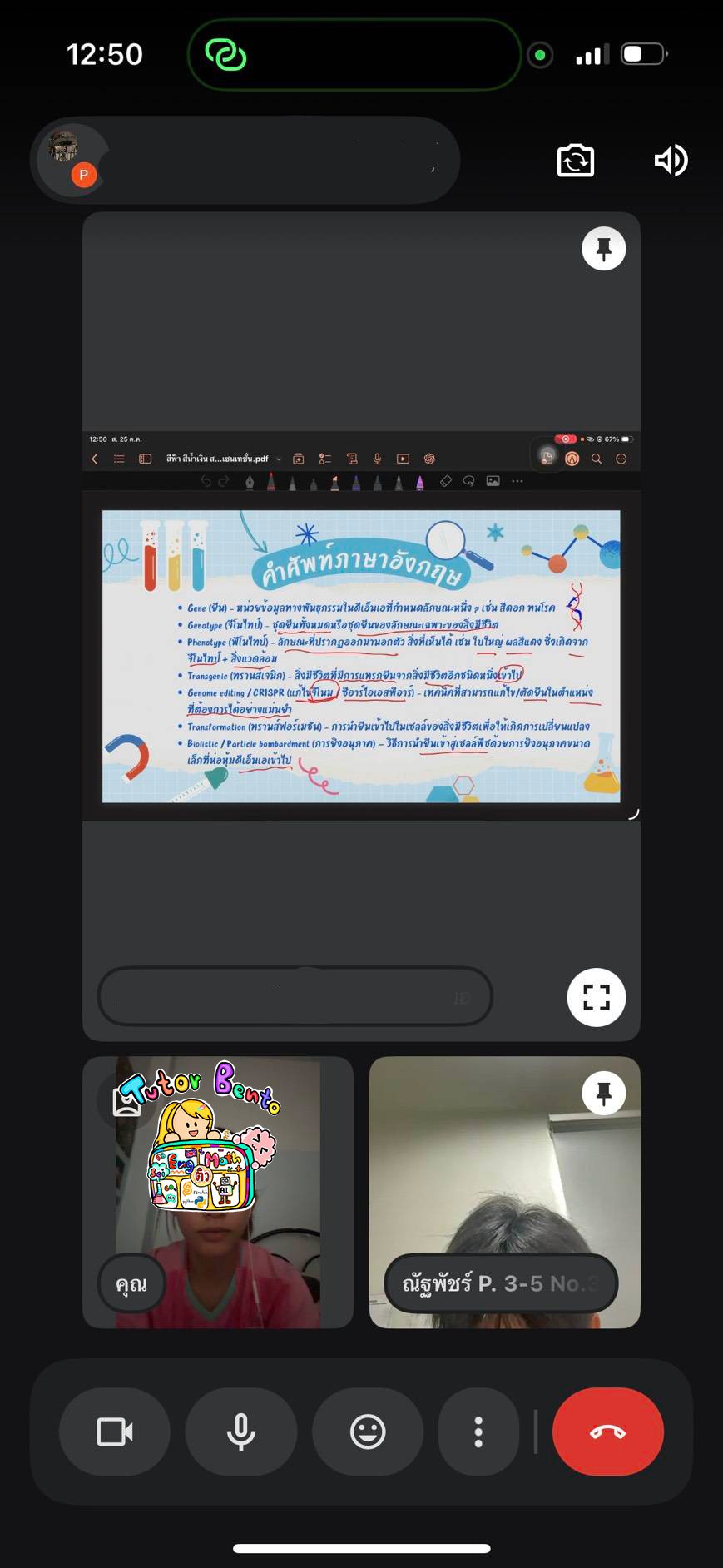 tutorbento.com รีวิว