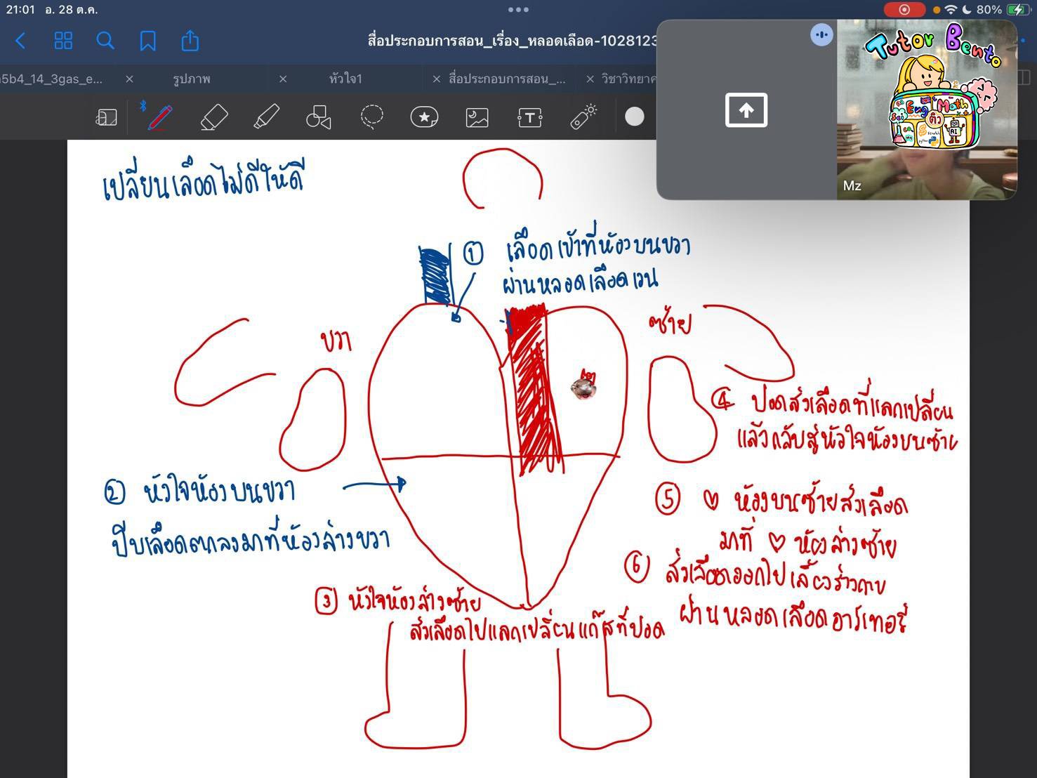 tutorbento.com รีวิว