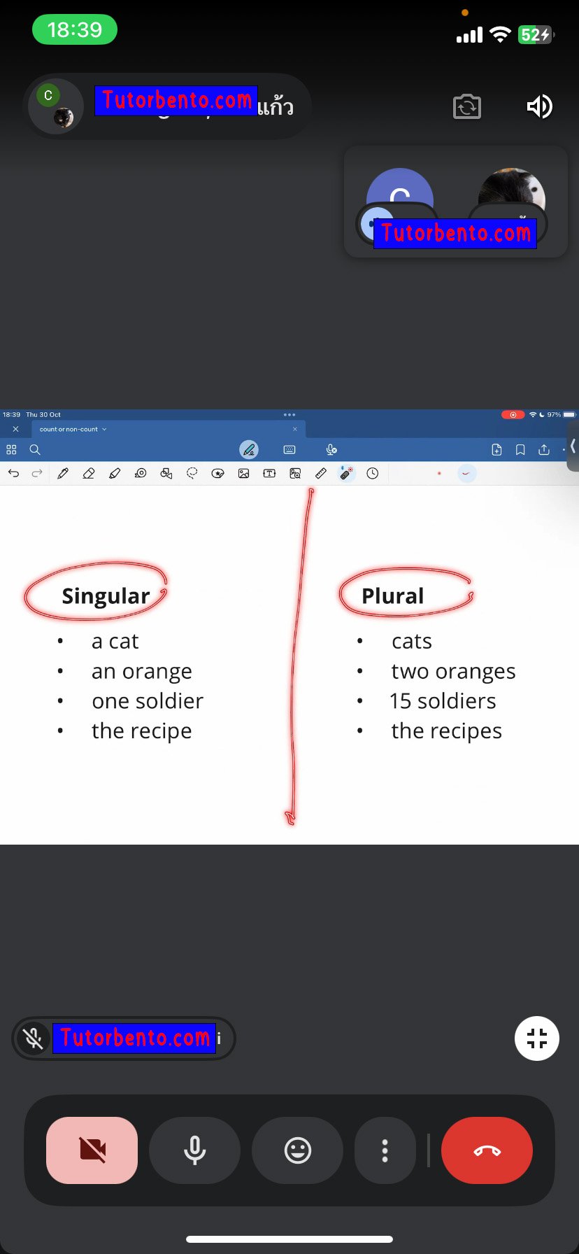 tutorbento.com รีวิว