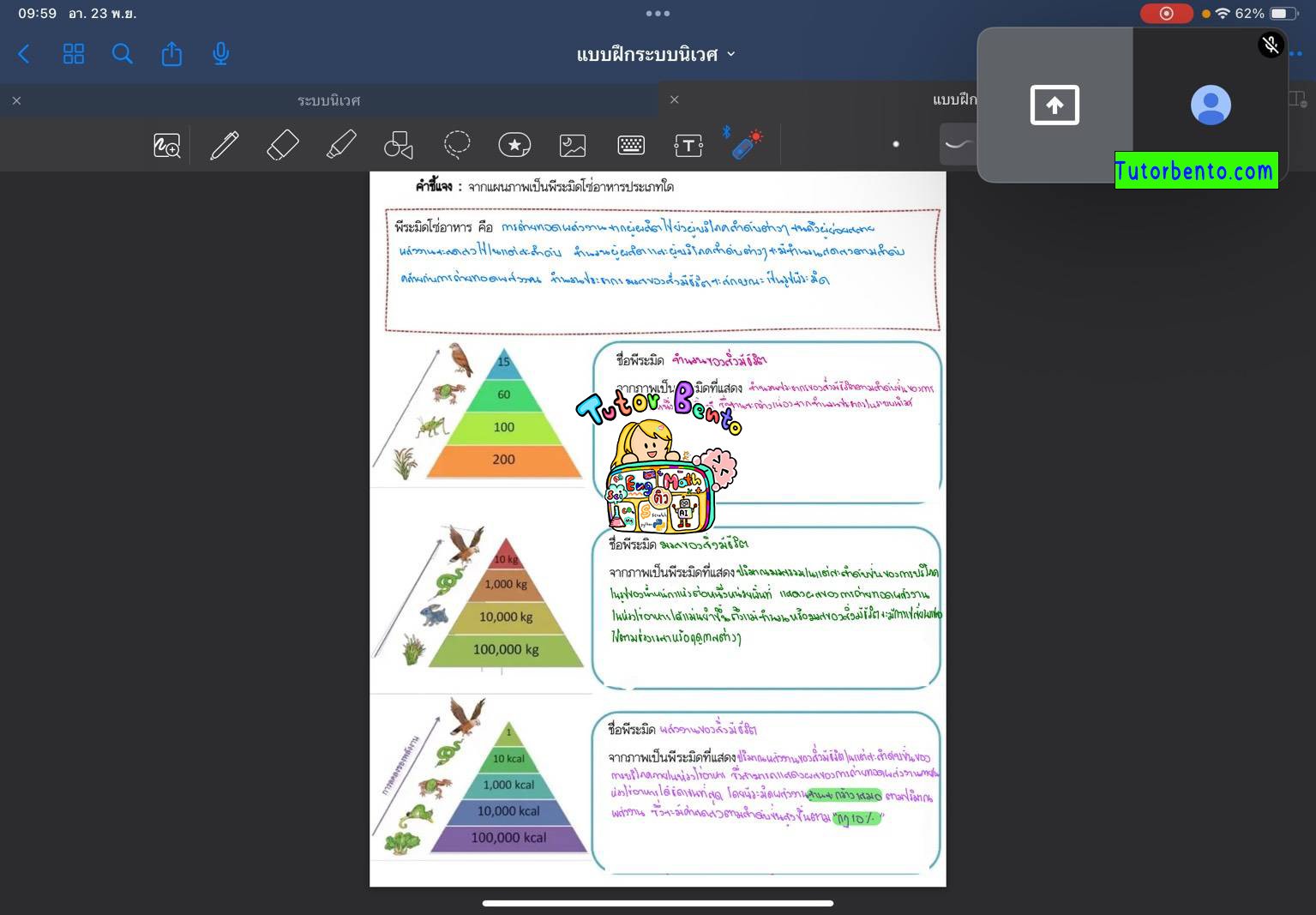 tutorbento.com รีวิว