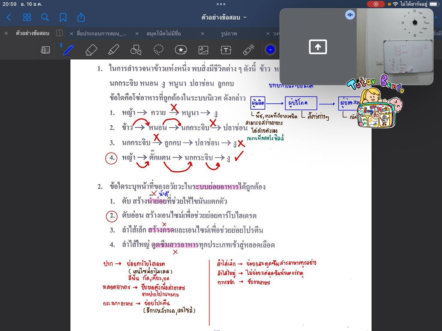 tutorbento.com รีวิว