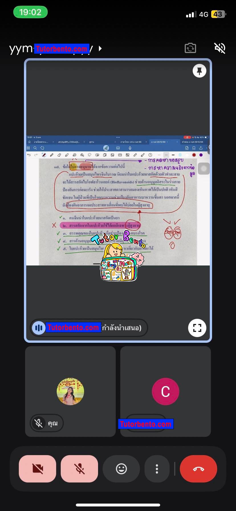 tutorbento.com รีวิว