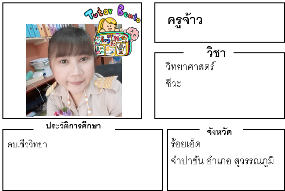 ติวเตอร์เบนโตะ-จ้าว ติวเตอร์เบนโตะ-จ้าว