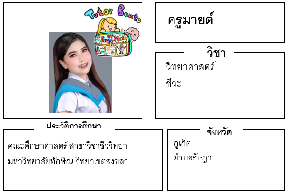 ติวเตอร์เบนโตะ-มายด์