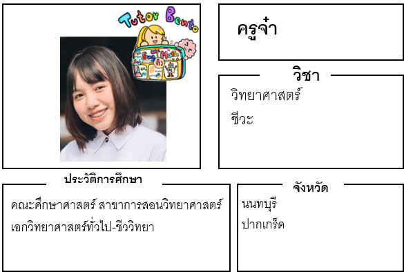 ติวเตอร์เบนโตะ-จ๋า