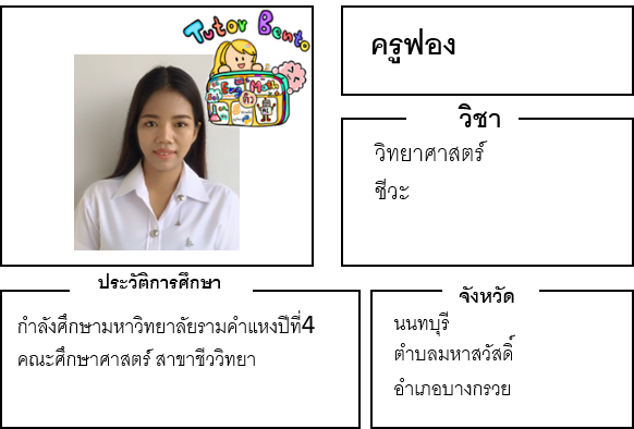 ติวเตอร์เบนโตะ-ฟอง