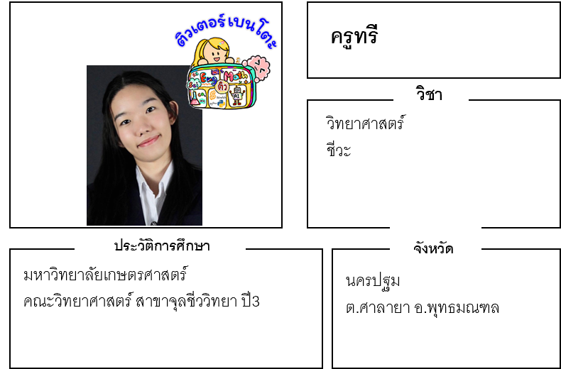 ติวเตอร์เบนโตะ-ทรี