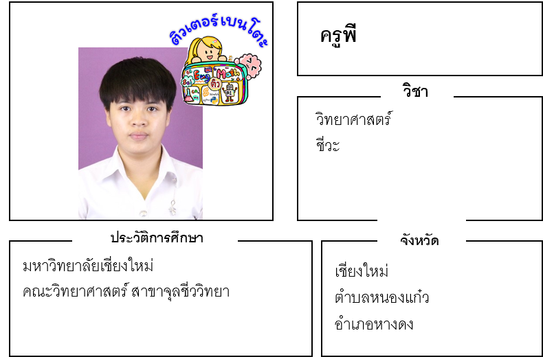 เรียนพิเศษเชียงใหม่ ครูพี 24326 สอนวิทยาศาสตร์ ชีวะ